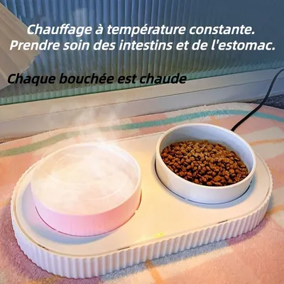 ZooVenture Double USB Chauffante Gamelle en Céramique pour chat et chien