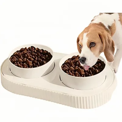 ZooVenture Double USB Chauffante Gamelle en Céramique pour chat et chien