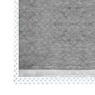 Record - Tapis Absorbants Assorbipiù pour Chiens et Chats au Charbon Actif
