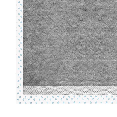 Record - Tapis Absorbants Assorbipiù pour Chiens et Chats au Charbon Actif