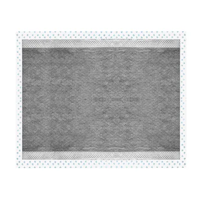 Record - Tapis Absorbants Assorbipiù pour Chiens et Chats au Charbon Actif