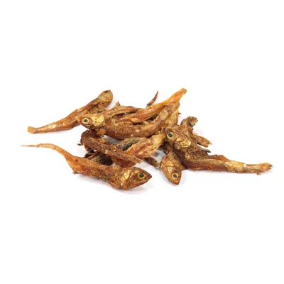 Record - Snack Naturel Premium pour Chats Made in Italy