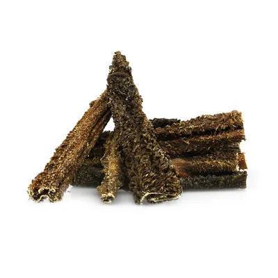 Record - Snack Naturel Premium pour Chiens Made in Italy