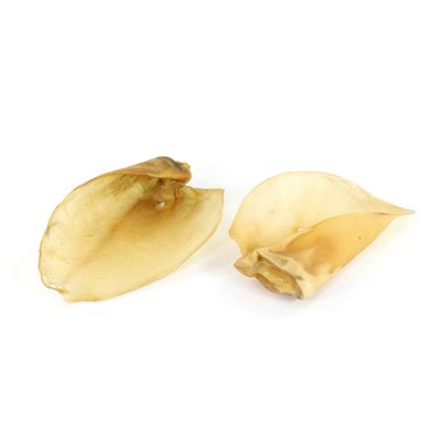 Record - Snack Naturel Premium pour Chiens Made in Italy