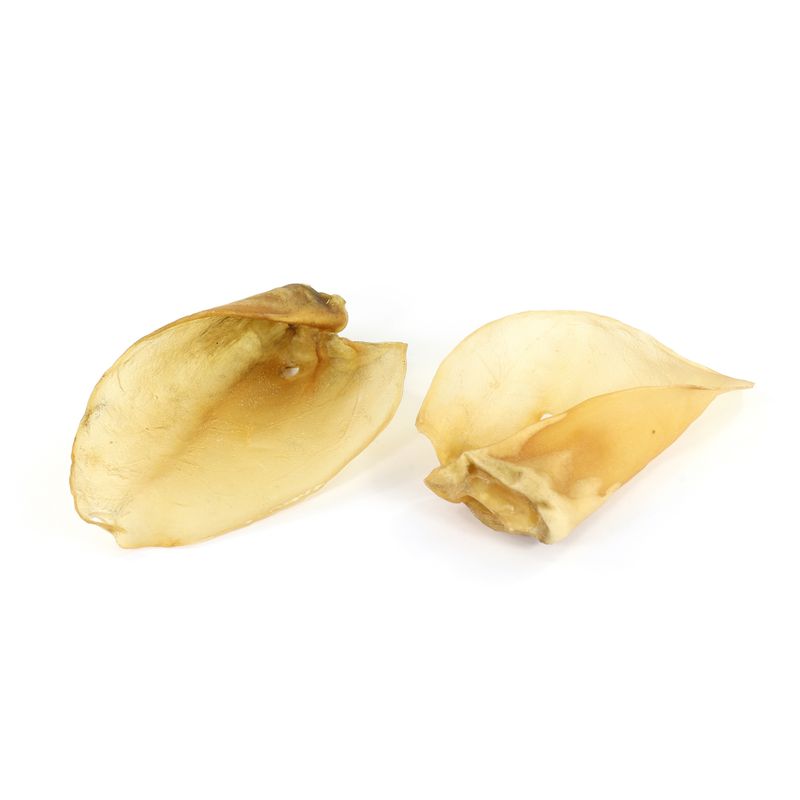 Record - Snack Naturel Premium pour Chiens Made in Italy