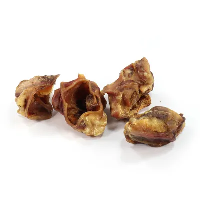 Record - Snack Naturel Premium pour Chiens Made in Italy