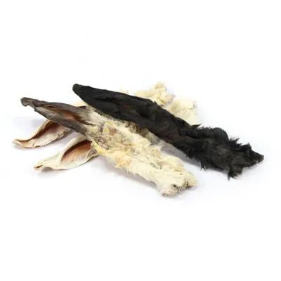 Record - Snack Naturel Premium pour Chiens Made in Italy