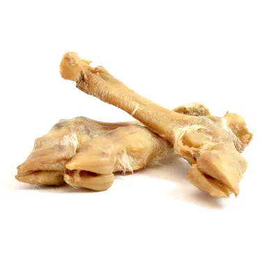 Record - Snack Naturel Premium pour Chiens Made in Italy