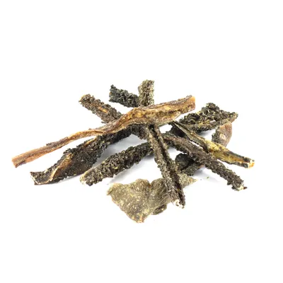 Record - Snack Naturel Premium pour Chiens Made in Italy