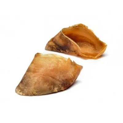 Record - Snack Naturel Premium pour Chiens Made in Italy Record - Snack Naturel Premium pour Chiens Made in Italy