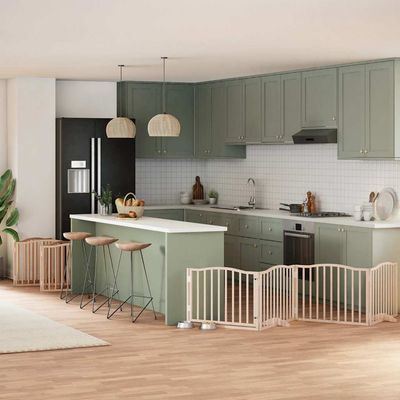 vidaXL Barrière en bois de peuplier pour chien
