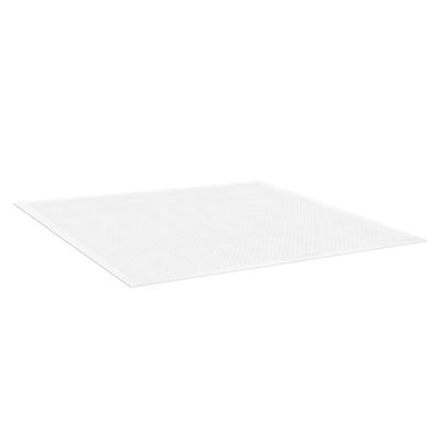 Record - Tapis Absorbants Assorbipiù pour Chiens et Chats