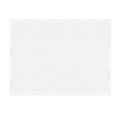 Record - Tapis Absorbants Assorbipiù pour Chiens et Chats