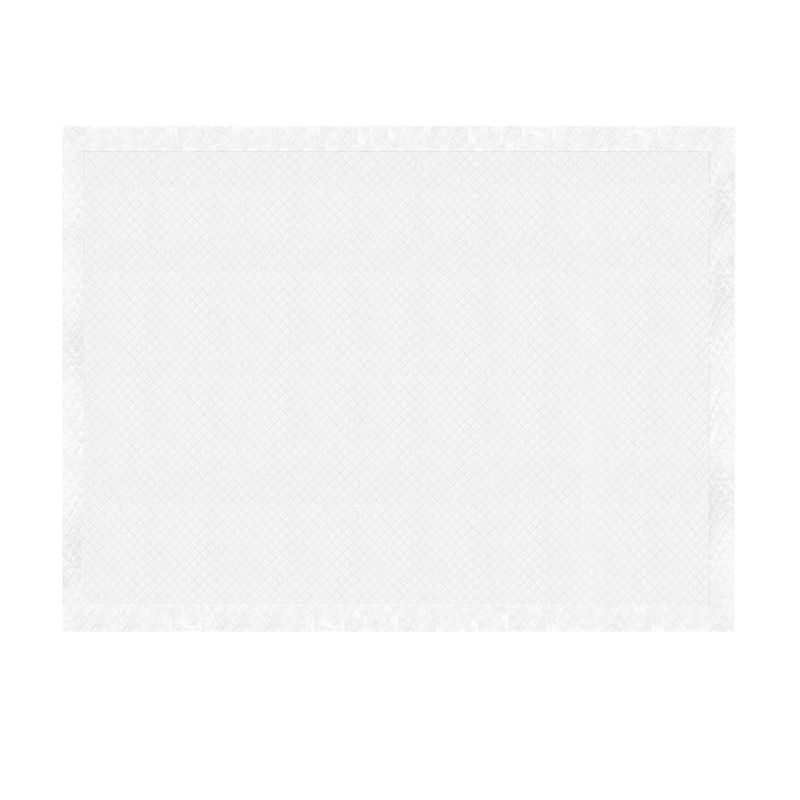 Record - Tapis Absorbants Assorbipiù pour Chiens et Chats