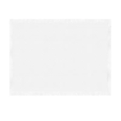 Record - Tapis Absorbants Assorbipiù pour Chiens et Chats