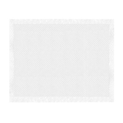 Record - Tapis Absorbants Assorbipiù pour Chiens et Chats