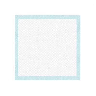 Record - Tapis Tapiss pour Chiens et Chats