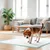 Record - Tapis Tapiss pour Chiens et Chats