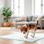 Record - Tapis Tapiss pour Chiens et Chats