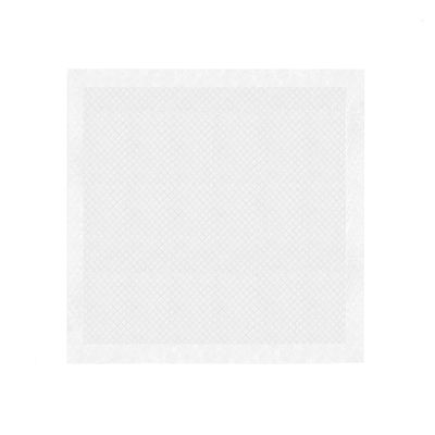 Record - Tapis Absorbants Assorbipiù pour Chiens et Chats