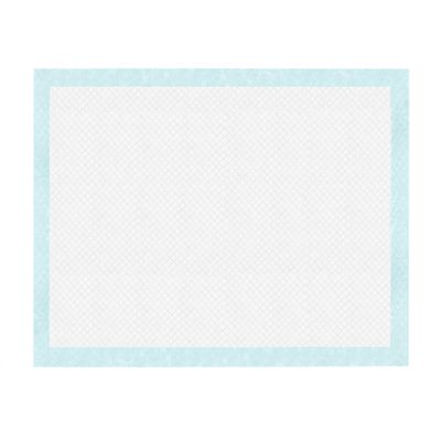 Record - Tapis Tapiss pour Chiens et Chats