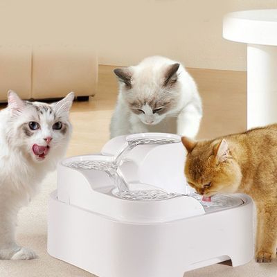Distributeur d'eau automatique pour chat de type cascade