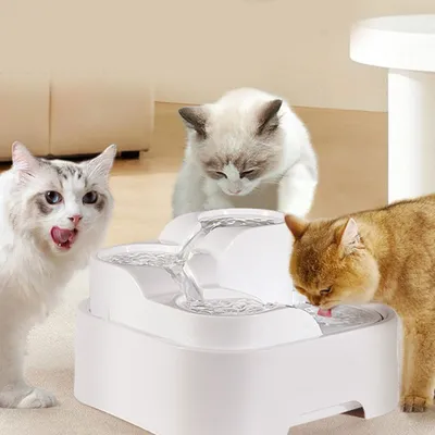 Distributeur d'eau automatique pour chat de type cascade