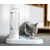 Distributeur d'eau automatique pour chats