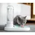 Distributeur d'eau automatique pour chats