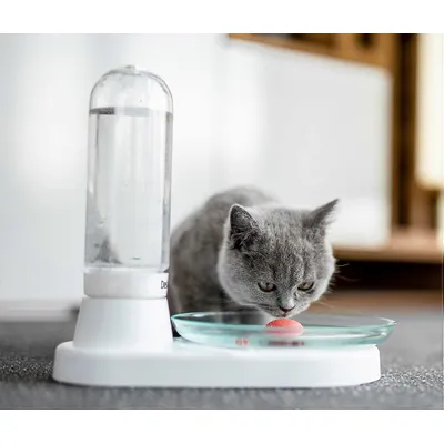 Distributeur d'eau automatique pour chats