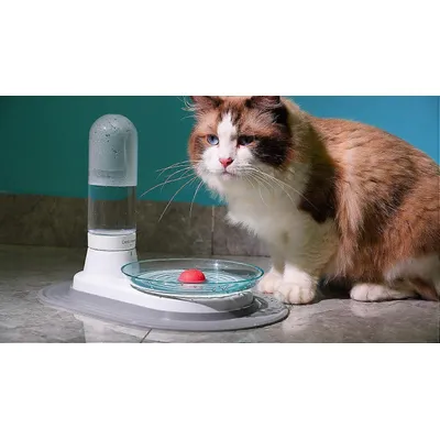 Distributeur d'eau automatique pour chats