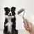Brosse sous-poil | Peigne démêlant double face pour chien