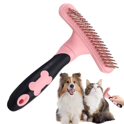 Brosse à double rangée pour chien