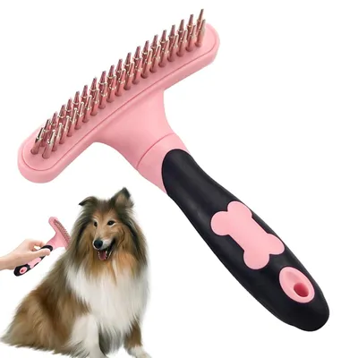 Brosse à double rangée pour chien