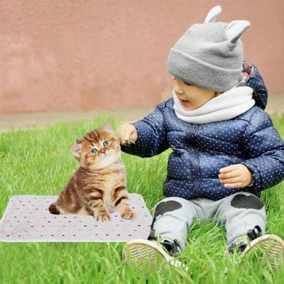 Couverture pour animaux, Convient à toutes les saisons