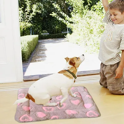 Matelas d'hiver chaud pour chats