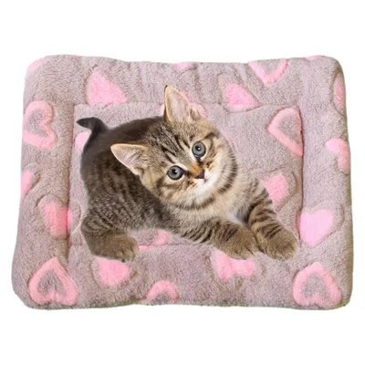 Matelas d'hiver chaud pour chats