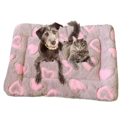 Matelas d'hiver chaud pour chats