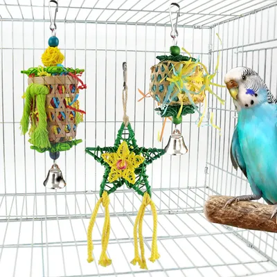 Blocs à mâcher pour perroquets et oiseaux