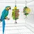 Blocs à mâcher pour perroquets et oiseaux