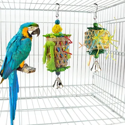 Blocs à mâcher pour perroquets et oiseaux