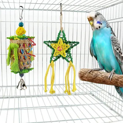 Blocs à mâcher pour perroquets et oiseaux