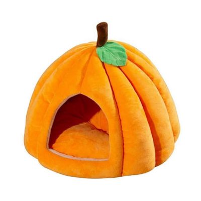 Maison pour chat citrouille