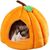 Maison pour chat citrouille