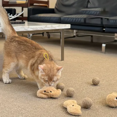 Jouet pour chat en forme de cacahuète, avec des boules de sisal