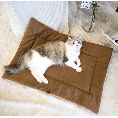 UAMLY Lit pliable et chaud pour chat
