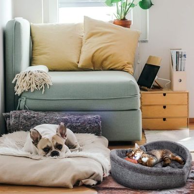 Maison pour chat en forme de cœur