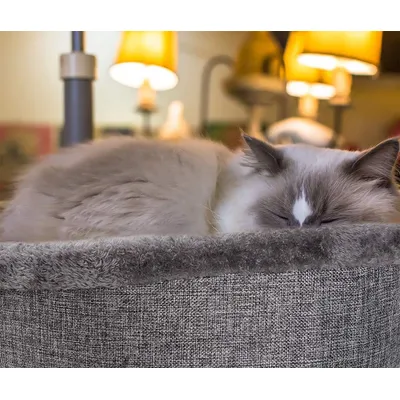 Maison pour chat en forme de cœur