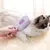 Brosse de toilettage à vapeur pour chat