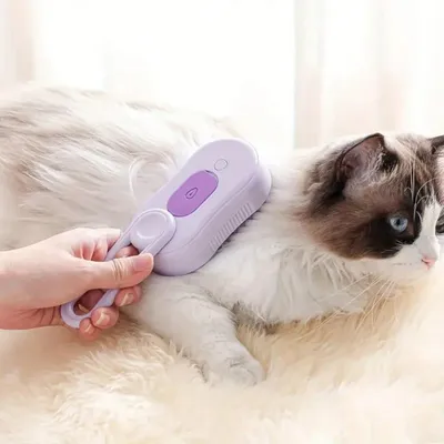 Brosse de toilettage à vapeur pour chat